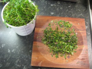 Plenty of chopped up fresh thyme