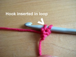 Hook inserted in loop