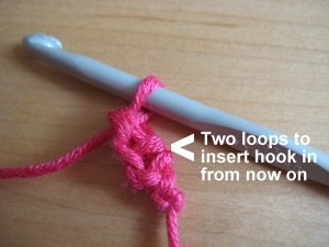 Sc completed. Next 2 loops indicated.