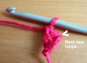 Sc completed, next two loops indicated