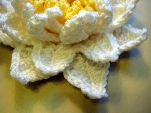 Outer petals with ridge running up centre